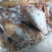 马肉冷冻