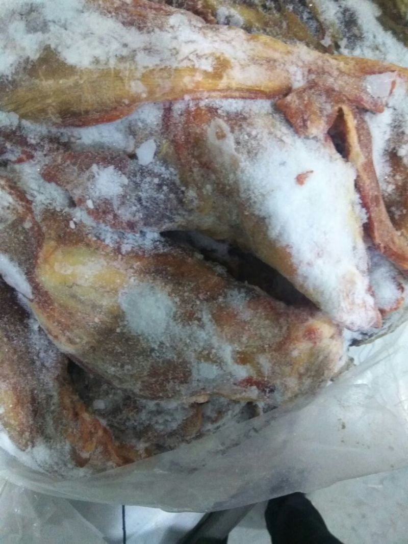 马肉冷冻