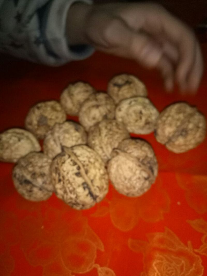 纸皮核桃30mm以上去皮干