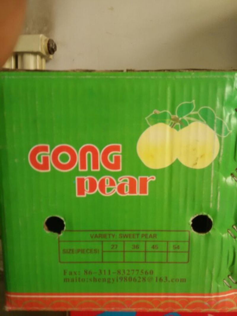 贡梨500~550g纸箱