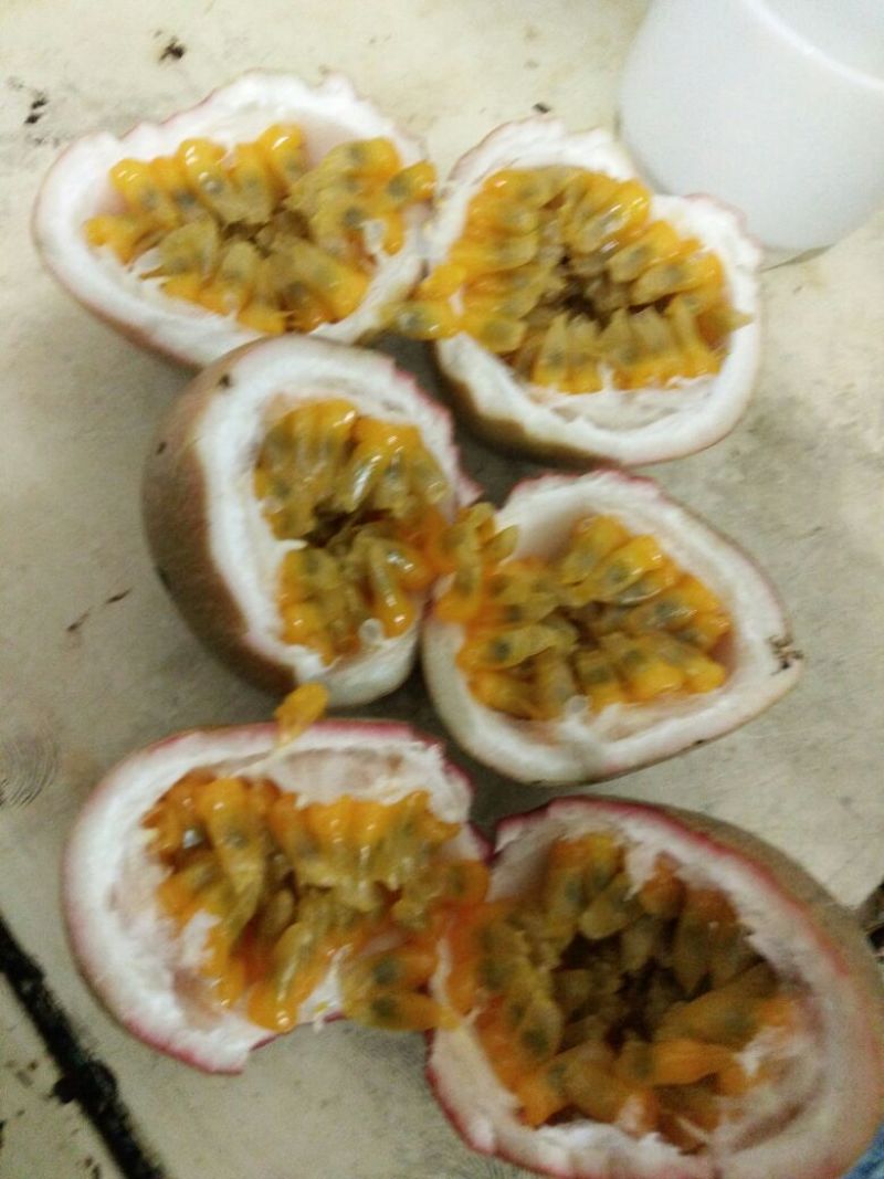百香果紫果90~100g