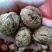 大泡核桃去皮干