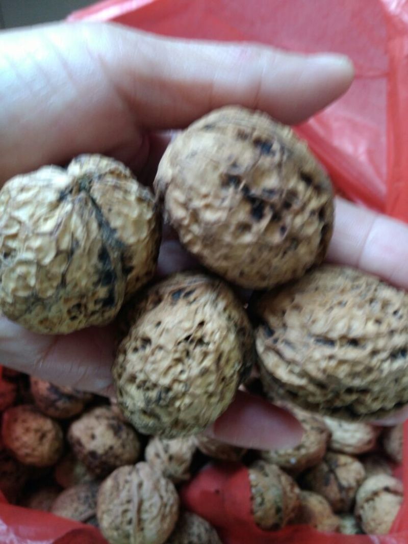 大泡核桃去皮干