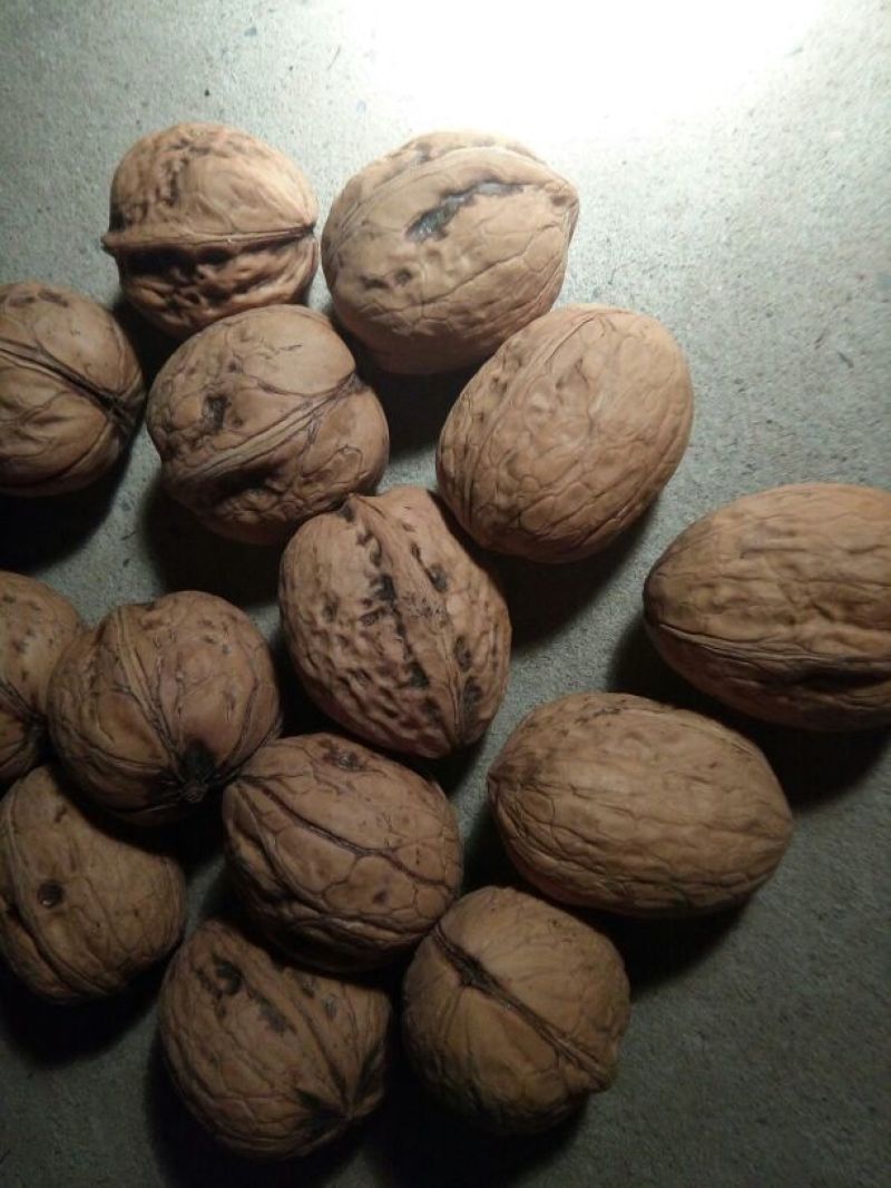 薄皮核桃30mm以上去皮