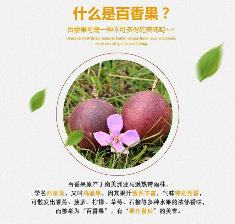 百香果黄果40~50g