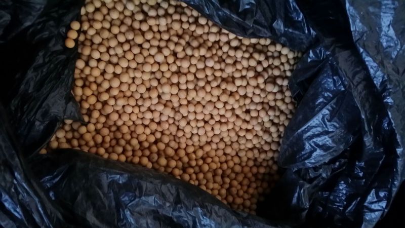 芽豆食用