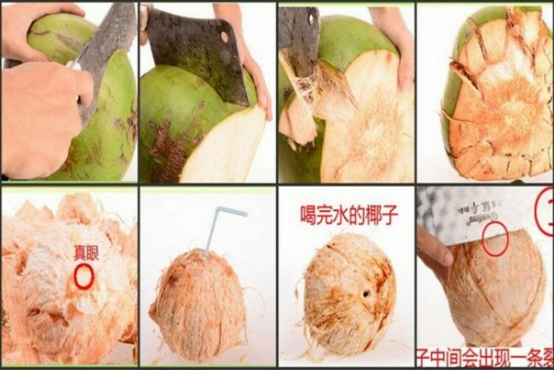 椰青5~6斤