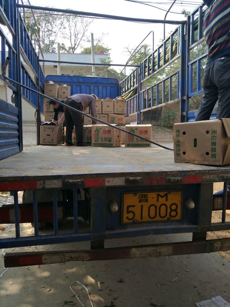 精品螺丝椒10~15厘米，质量上乘，产地直供，欢迎选
