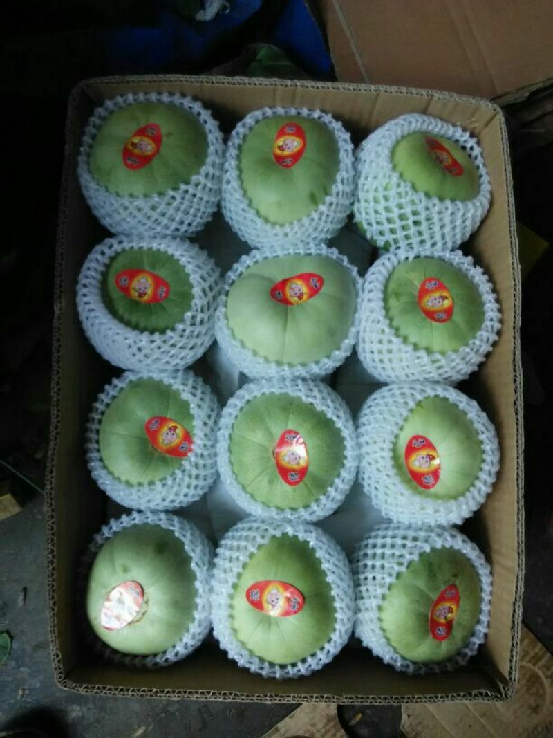 绿宝甜瓜，3用上市精品甜瓜