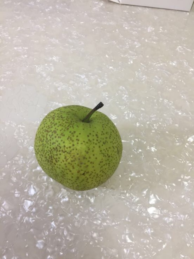丰水梨