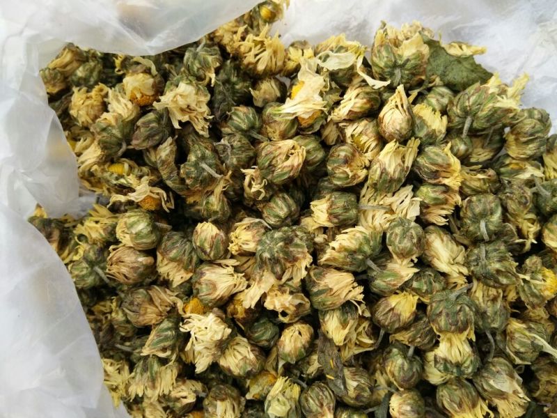 杭州白菊散装