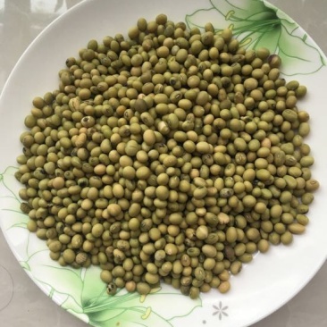 黄豆