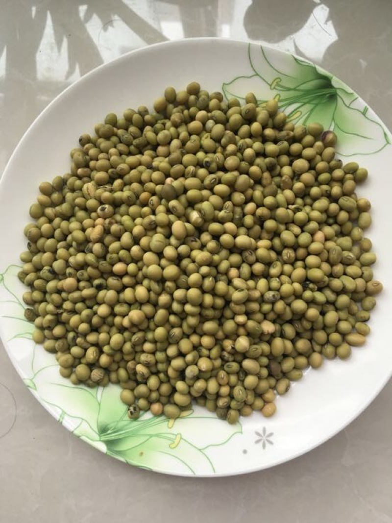 黄豆