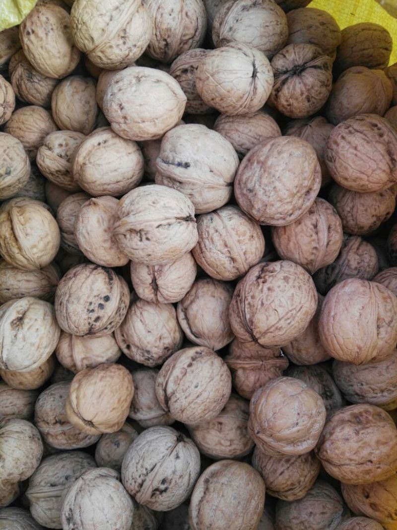 核桃去皮干