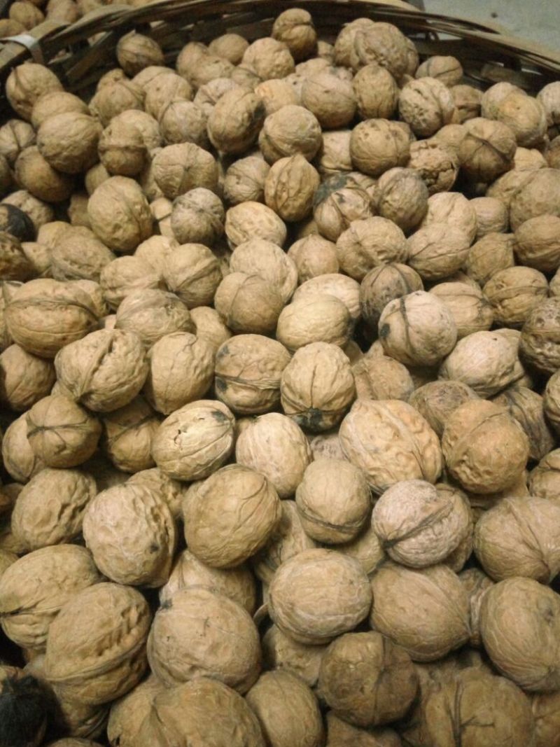 薄皮核桃去皮干