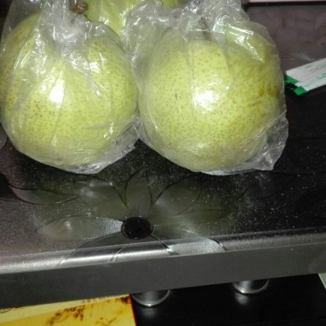 黄金酥梨400~450g膜袋
