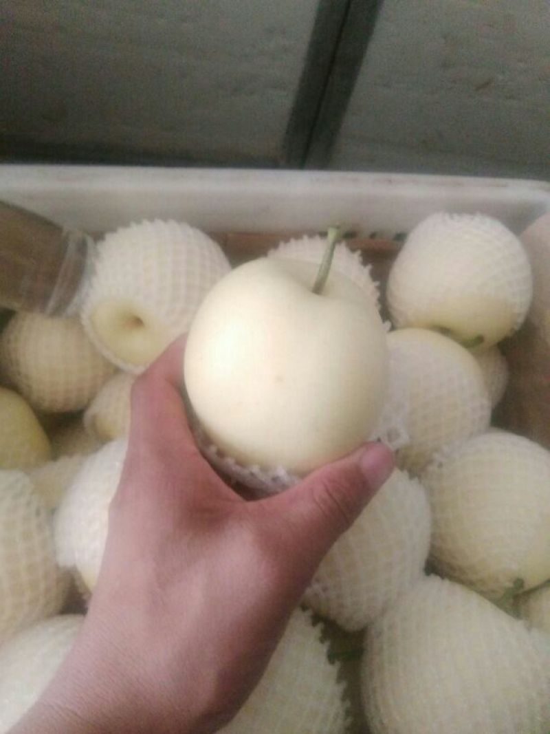 皇冠梨300~350g纸袋
