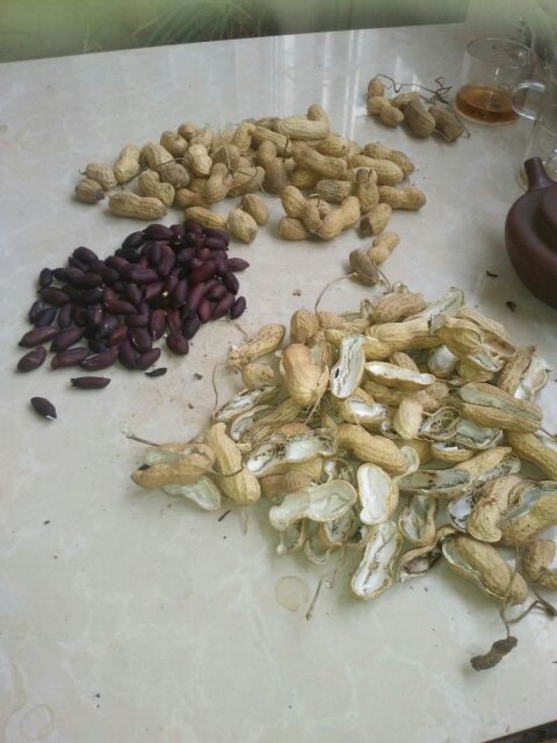 黑花生干货带壳