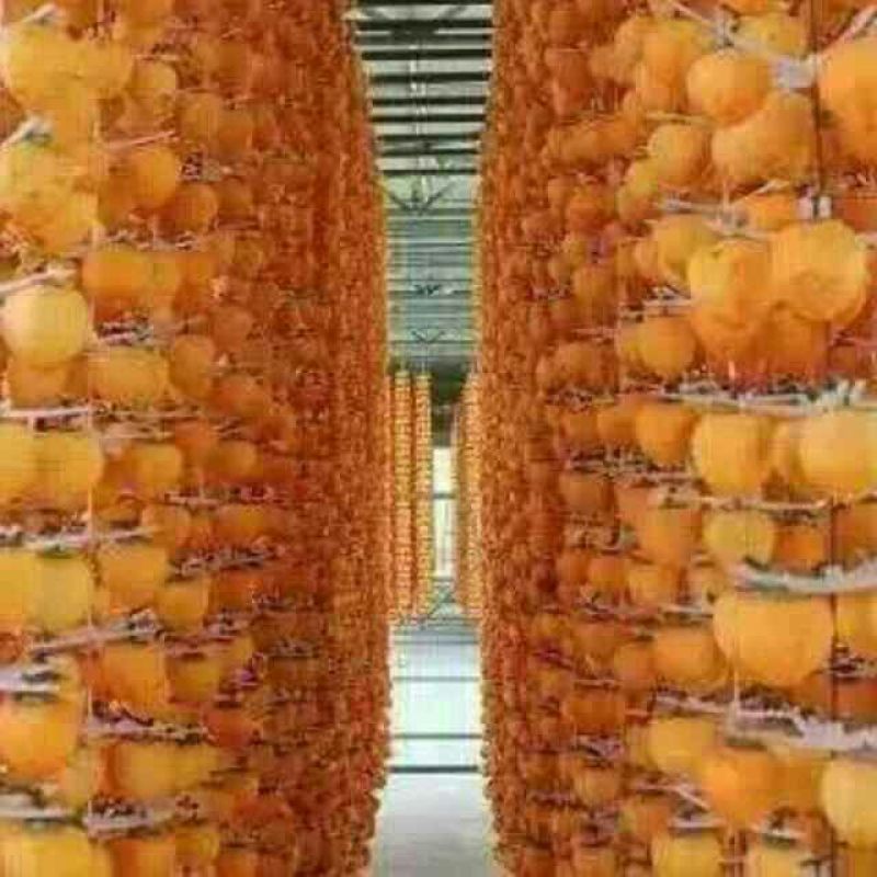 柿饼1~2两