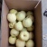 山西临猗贡梨纸袋膜袋，400~450g品质好货