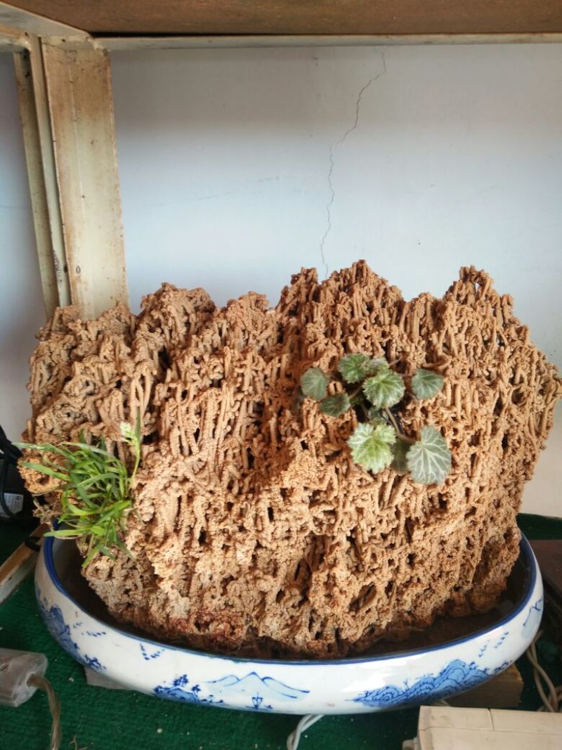 上水石规格齐全造型漂亮质量保证价格合理发货及时