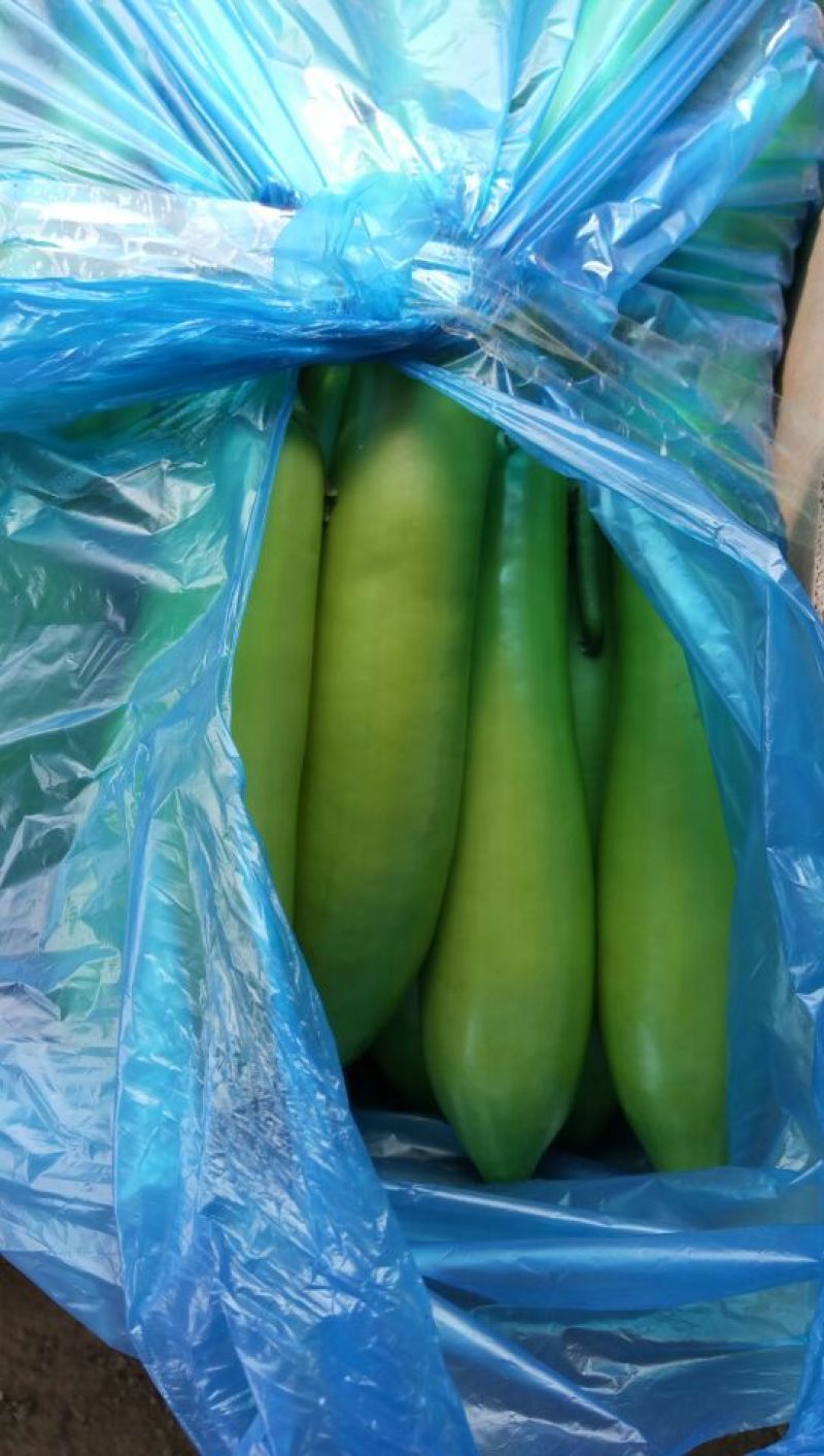 茄子3两以上