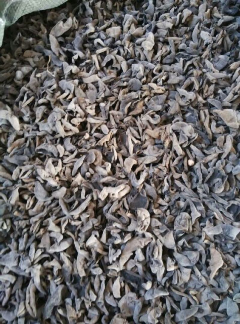 干木耳一级