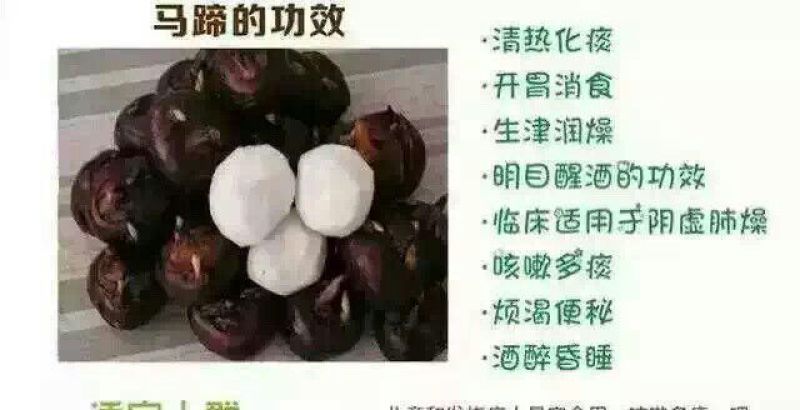 荸荠