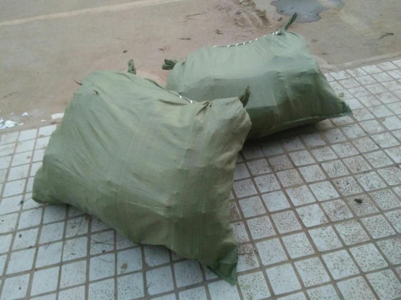 实生樱桃树苗、大青叶砧木、现挖现卖，质量保证规格齐全