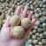 核桃25mm以下去皮干