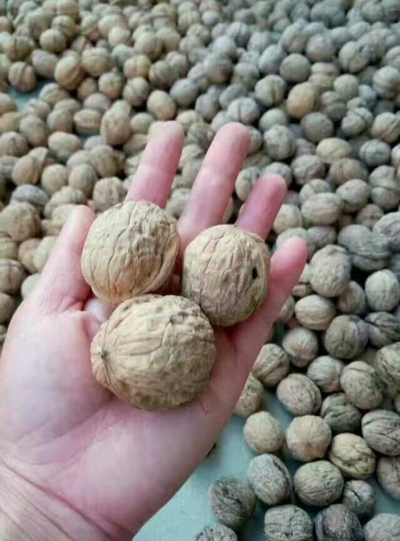 核桃25mm以下去皮干