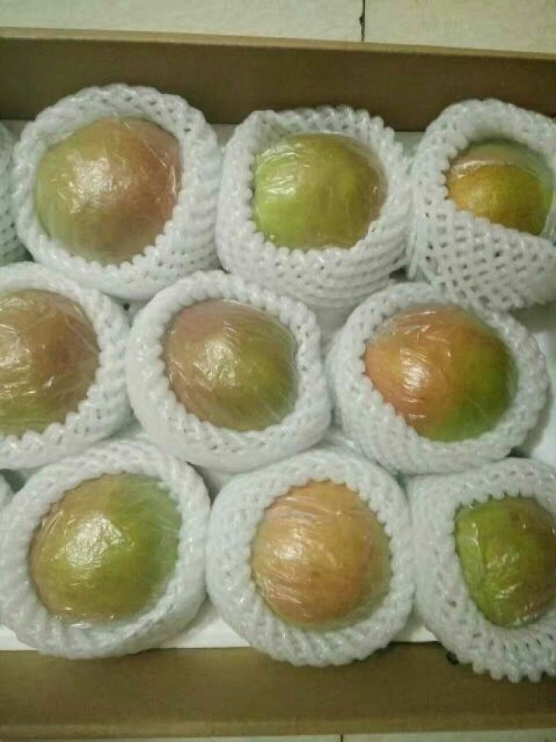 红香酥梨60~100g筐装