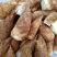毛竹春笋10~15cm15~20cm20~25cm2