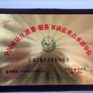 榆叶梅清地处理中，一棵也是批发价格，需要的抓紧联系