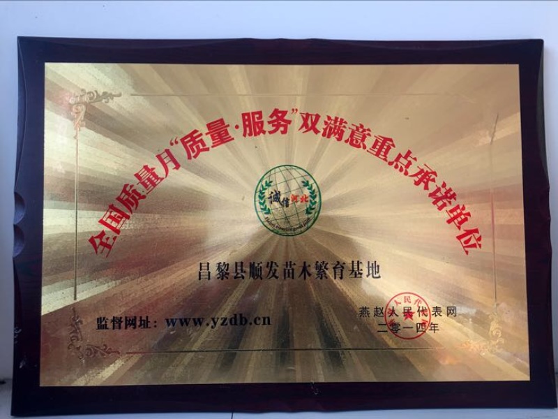 榆叶梅清地处理中，一棵也是批发价格，需要的抓紧联系