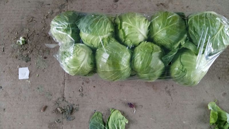 罐萝卜1~1.5斤起