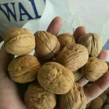 碧根果