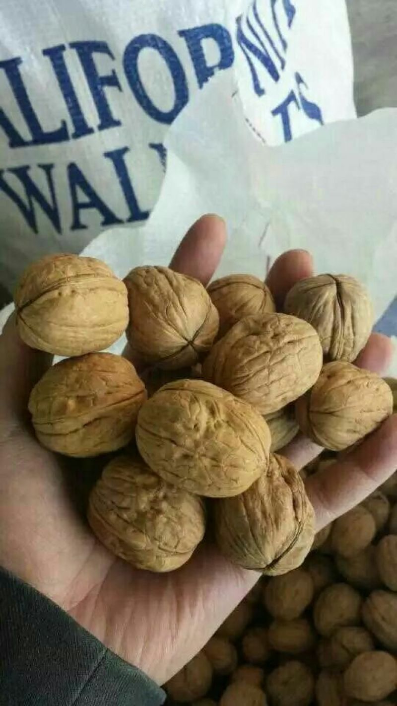 碧根果