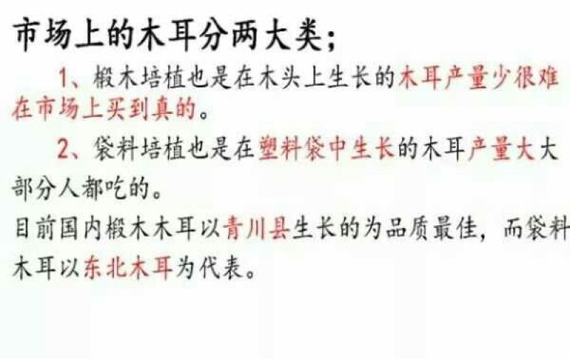 秋耳特级