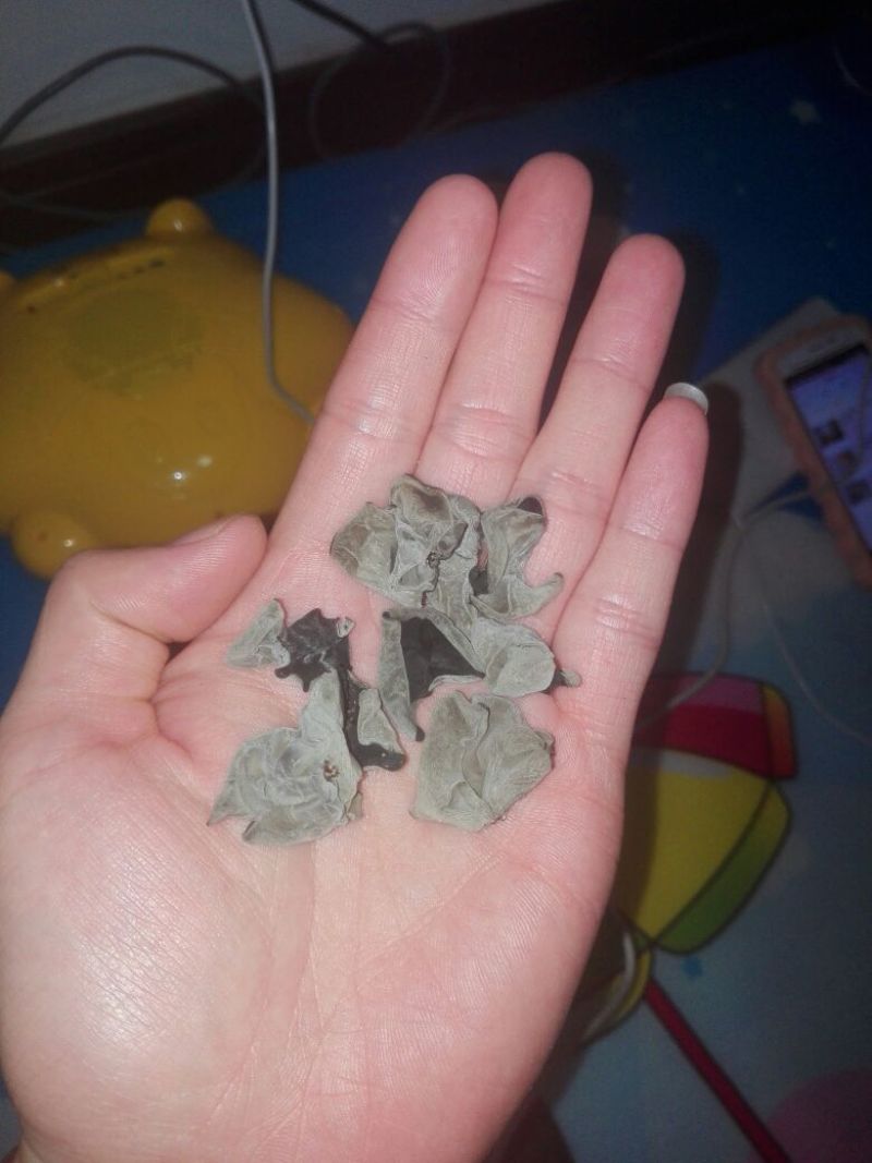 黑木耳一级