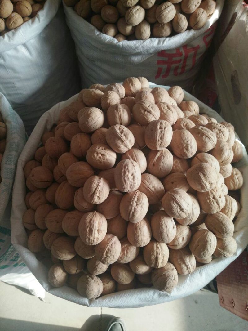 新新2号核桃30mm以上去皮干