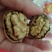 大泡核桃去皮干