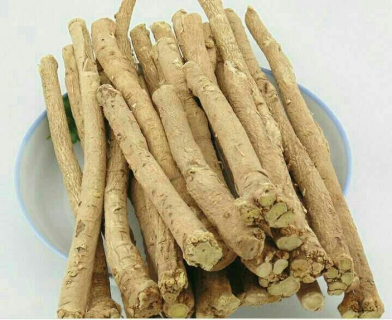 黄芪