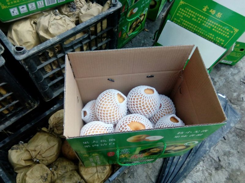富硒梨450~500g纸箱