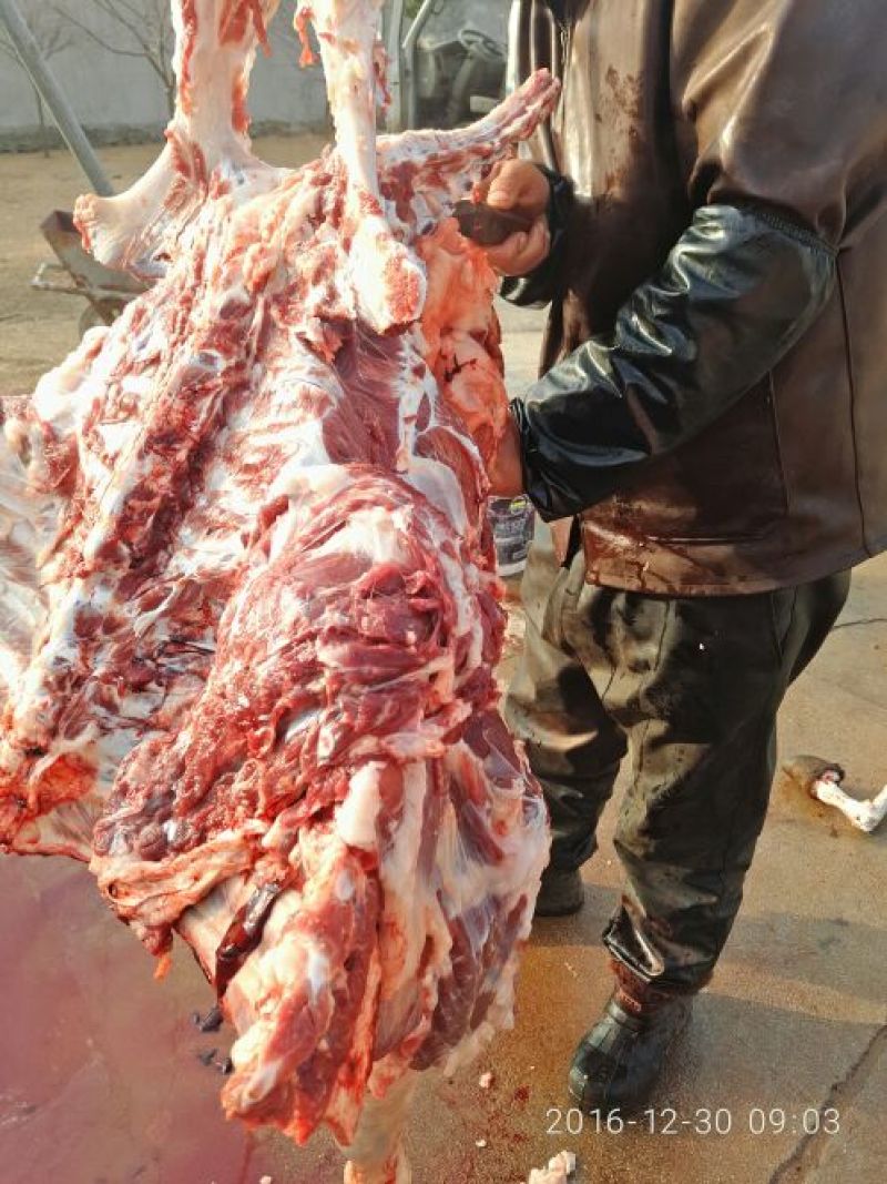 驴肉鲜货