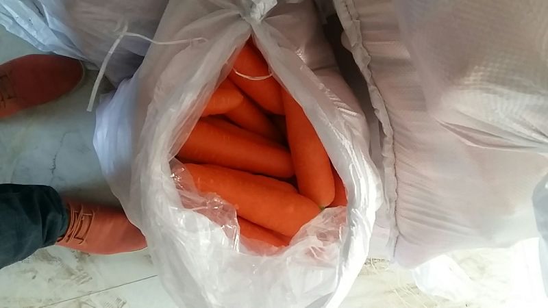 三红胡萝卜