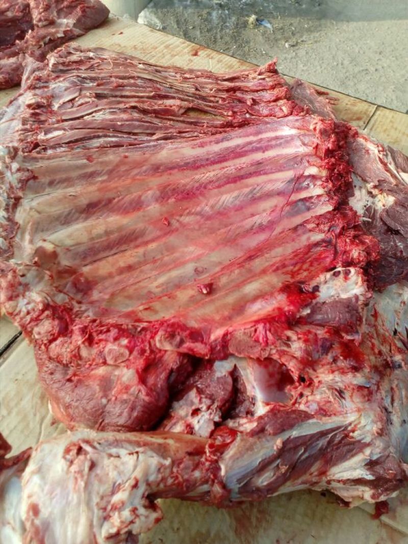 驴肉鲜货
