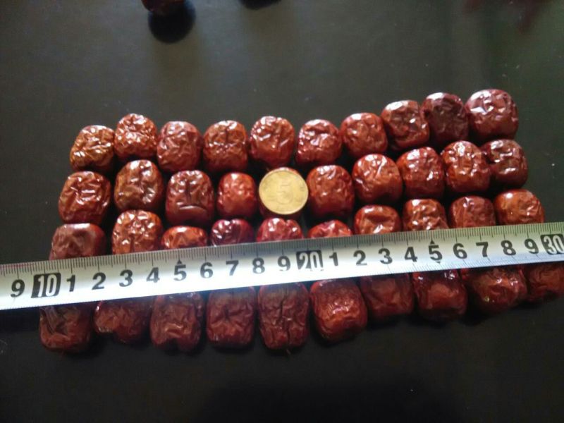 临泽小枣，水洗，烤干，人工挑选的临泽小枣