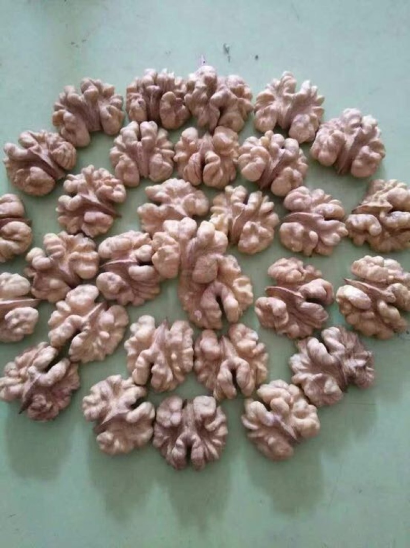 大泡核桃