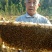 中蜂平箱装